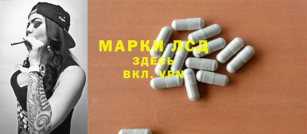 индика Нефтекумск
