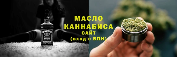 индика Нефтекумск