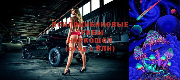 индика Нефтекумск