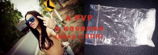 индика Нефтекумск
