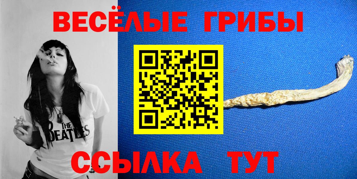 Псилоцибиновые грибы GOLDEN TEACHER Котельники