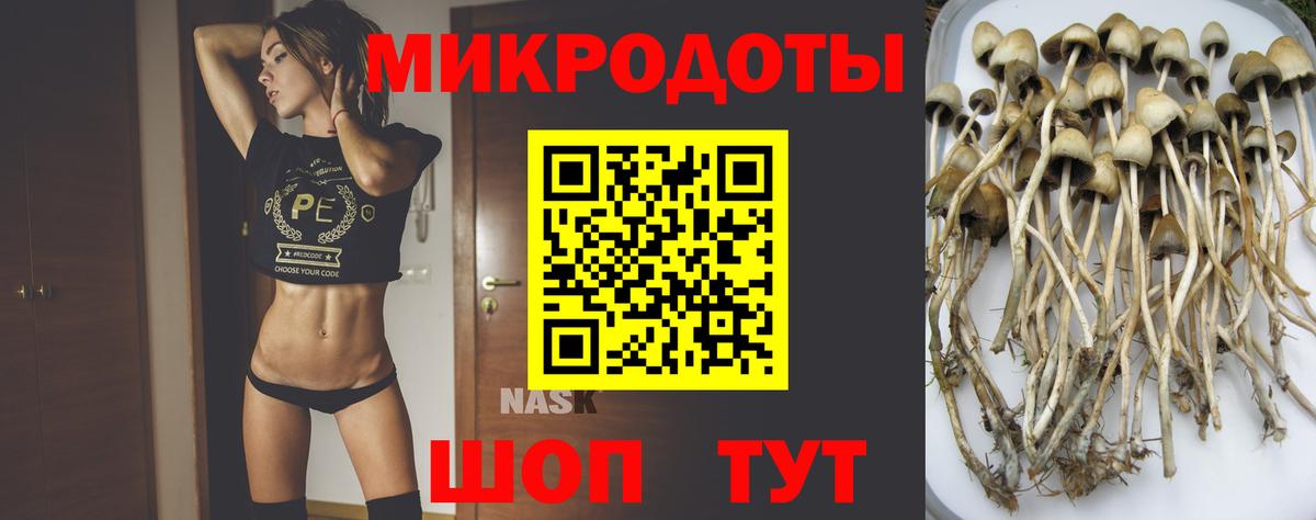 Псилоцибиновые грибы ЛСД  Псилоцибиновые грибы ЛСД  Котельники 